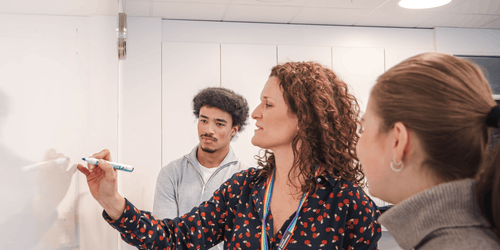 Bli kjent med fagretningene du kan studere i Bergen